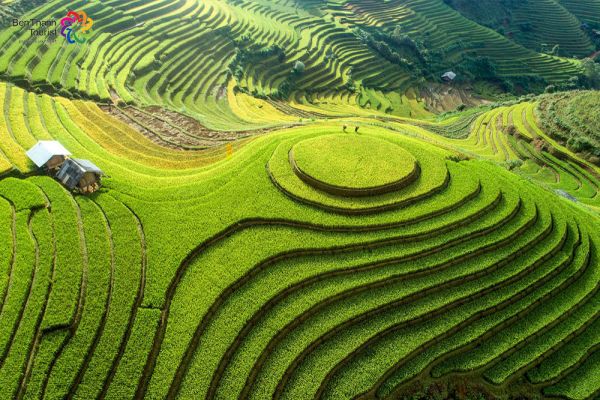 Vietnam, a country of rice-lovers, for rice-lovers